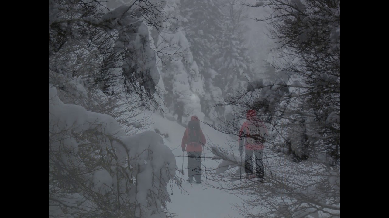 Raquettes à Iraty  ( Pyrénées )