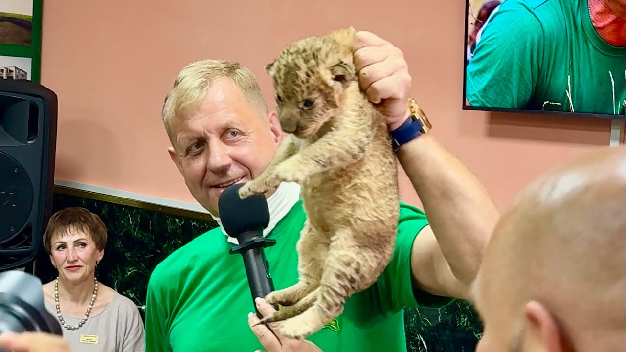 Вот такие ШРАМЫ остались у Олега Зубкова после нападения Льва. Пресс-конференция.