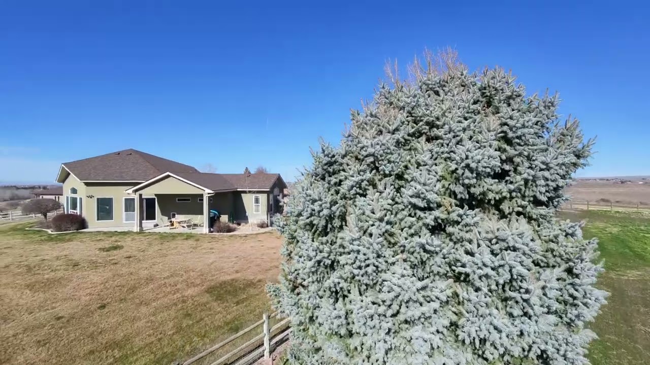 HOVER 20260227 1772218247400