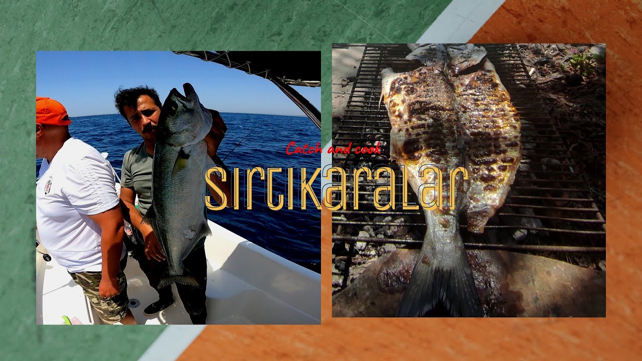 SIRTIKARALAR İLE DÖVÜŞTÜK YAKALA PİŞİR CATCH AND COOK kofana pişirme yöntemi👍 #kofana #catchandcook
