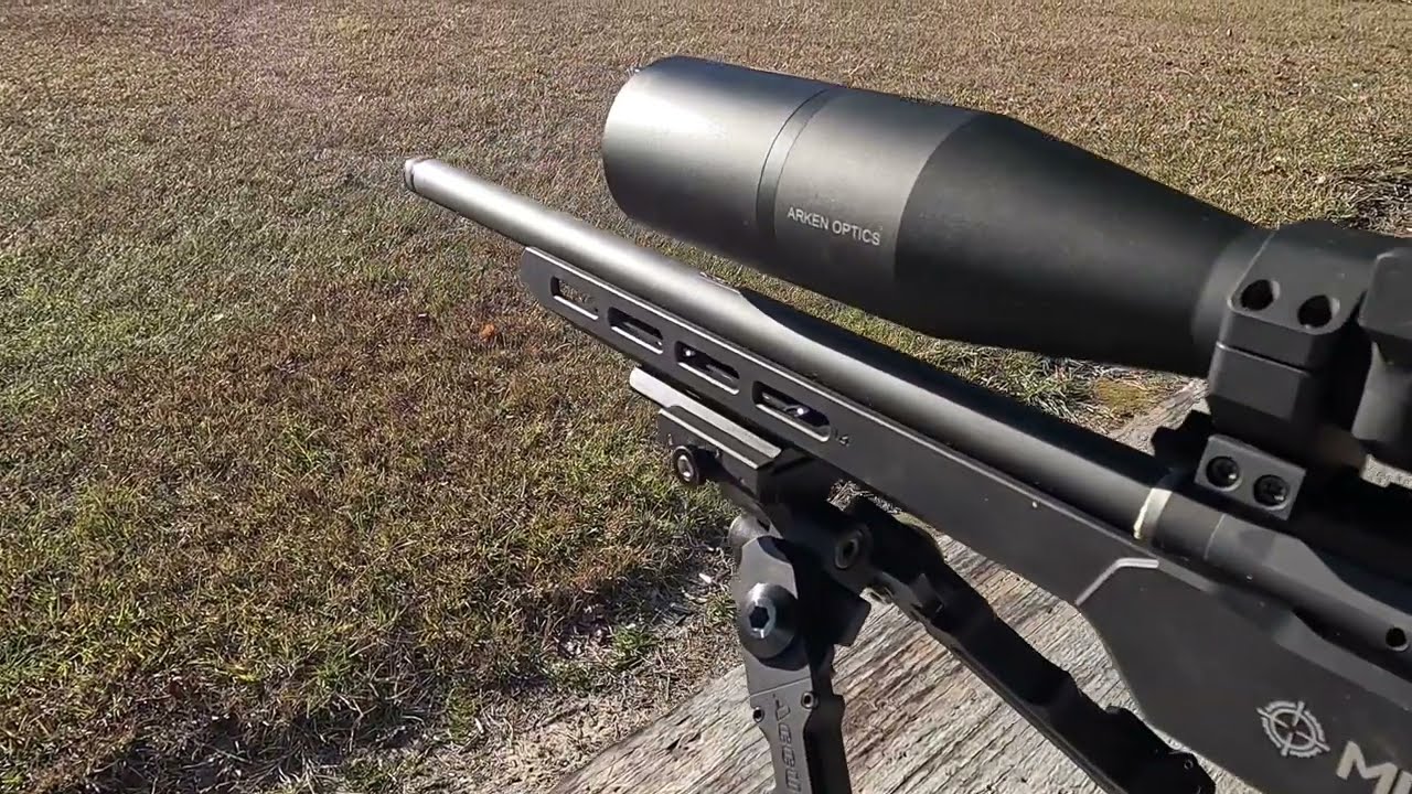 Norma vs Wolf vs Eley - Savage B22 Precision 50 yards