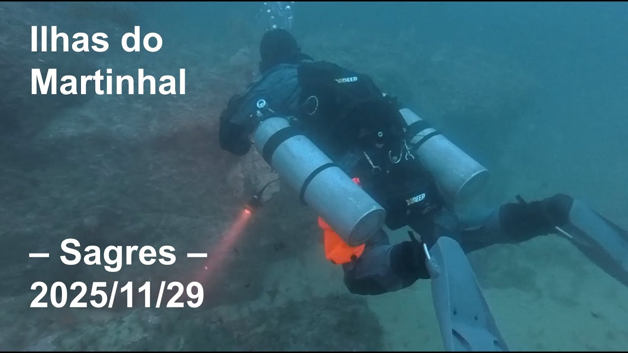 Mergulho nas Ilhas do Martinhal – Sagres – 2025/11/29