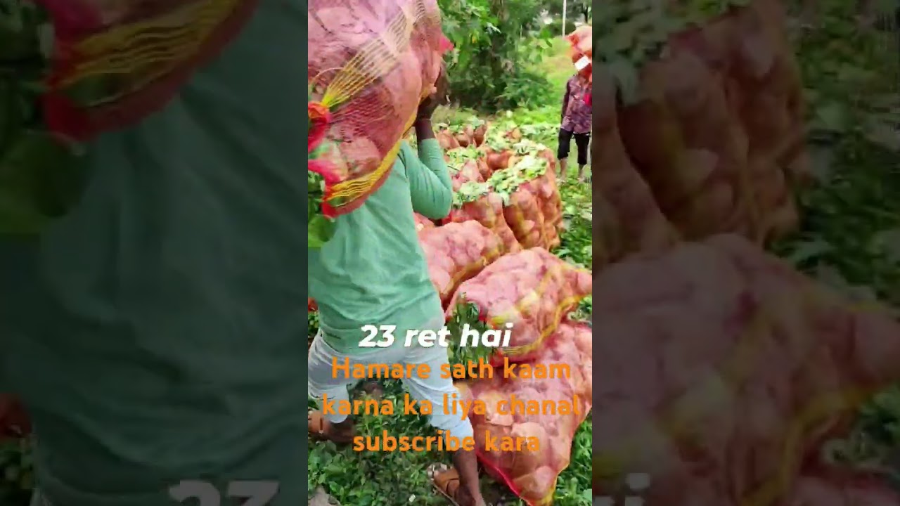 #viralvideo
