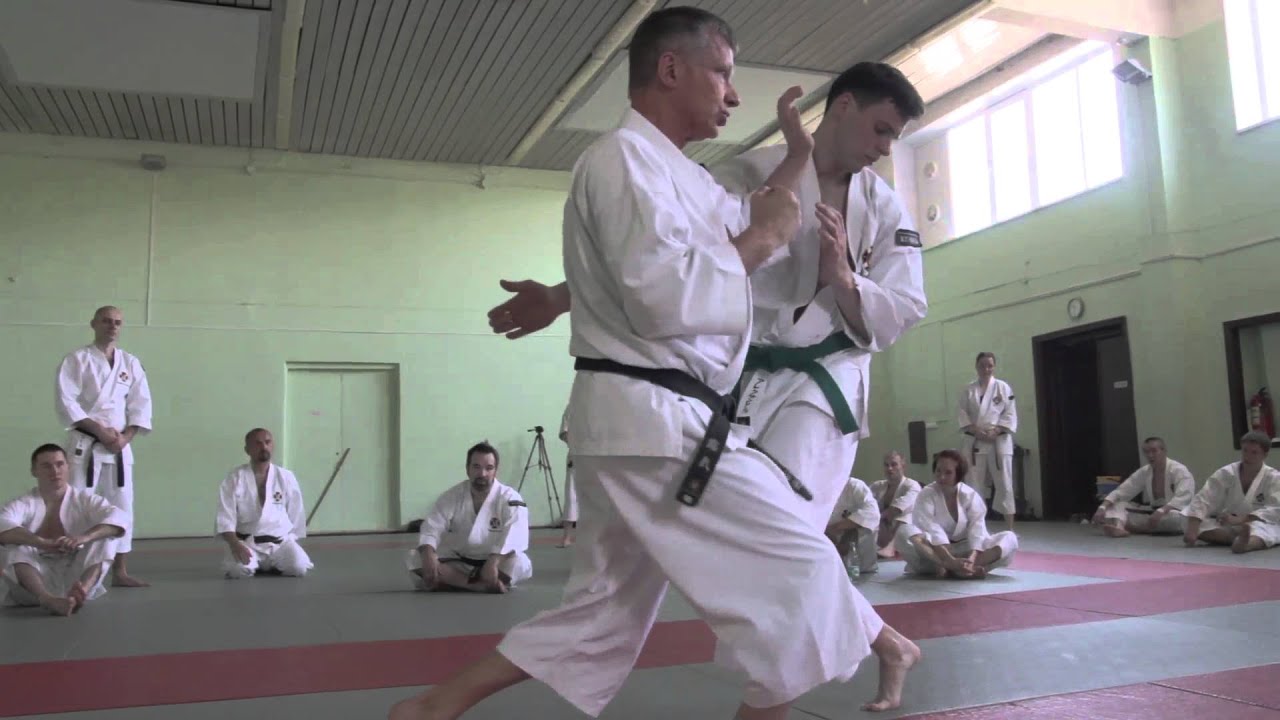 少林寺拳法 SHORINJI KEMPO. WSKO MOSCOW BRANCH. Seminar in Nizhny Novgorod. May-2015