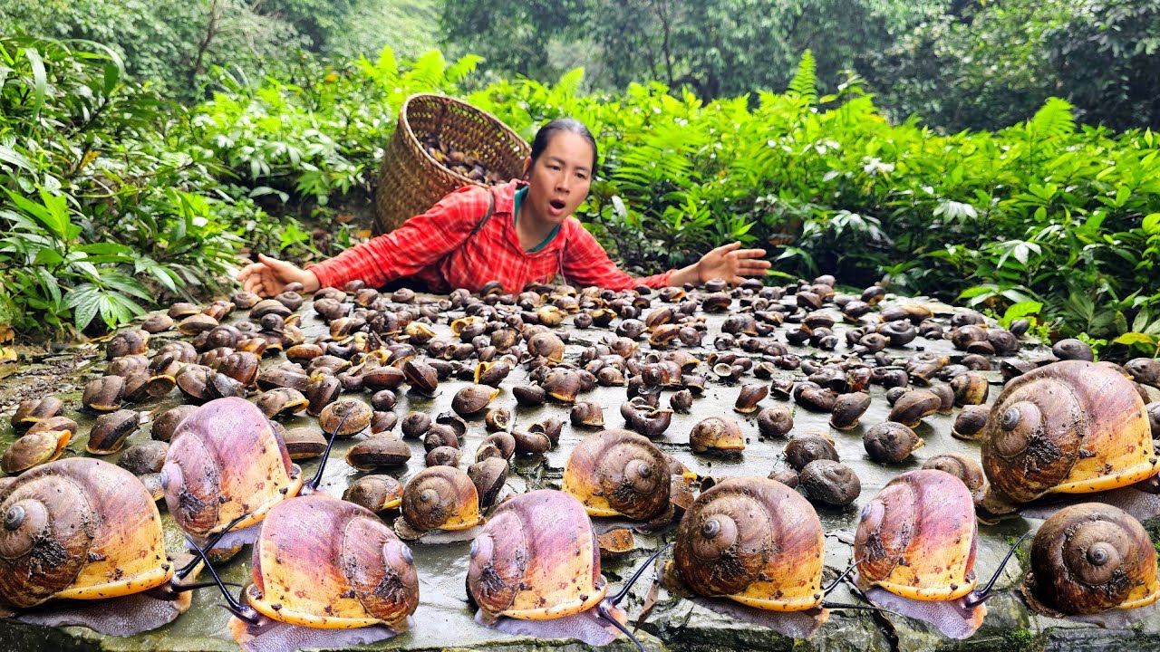 Heavy Rainy Day - Alone Encounter Those Uncle Forest Snail In the Rain - Village Life
