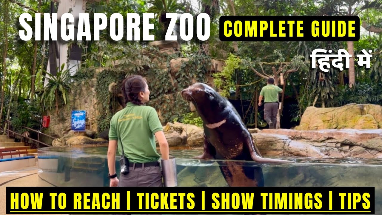 Singapore zoo complete tour, singapore zoo tour guide, Singapore zoo animal show, Singapore zoo vlog