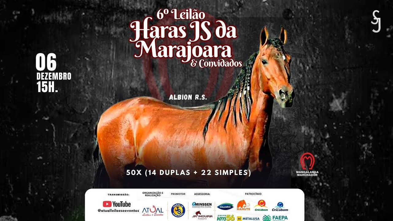 6º LEILÃO HARAS JS DA MARAJOARA E CONVIDADOS - 06/12/2025