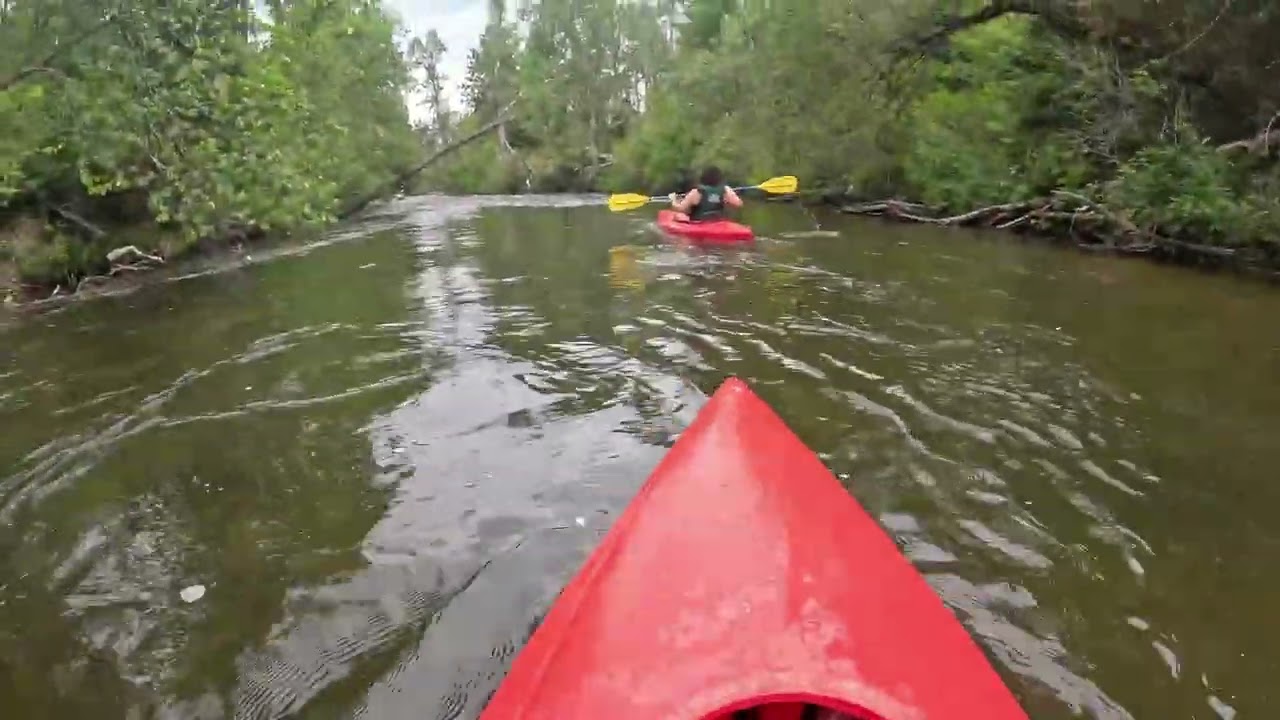 Kayaking Michigans fastest river in the lower peninsula