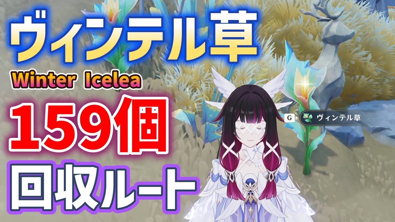 ヴィンテル草「全159個」入手方法・回収ルート　コロンビーナ育成素材　all 159 Winter Icelea Locations 冬凌草　少女素材　ナド・クライ　Genshin　空月の歌　原神