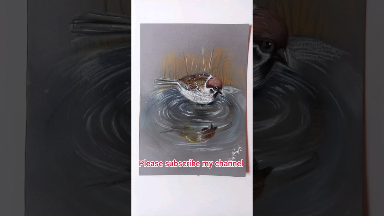 beautiful bird drawing using soft pastel and colored pencils/