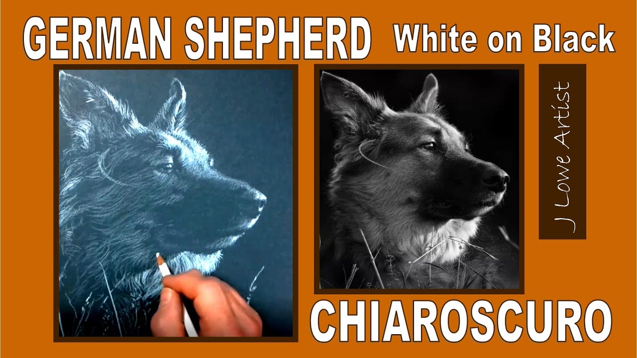 DRAWING ON BLACK PAPER WITH WHITE PENCIL TUTORIAL: Chiaroscuro Pencil Drawing tutorial