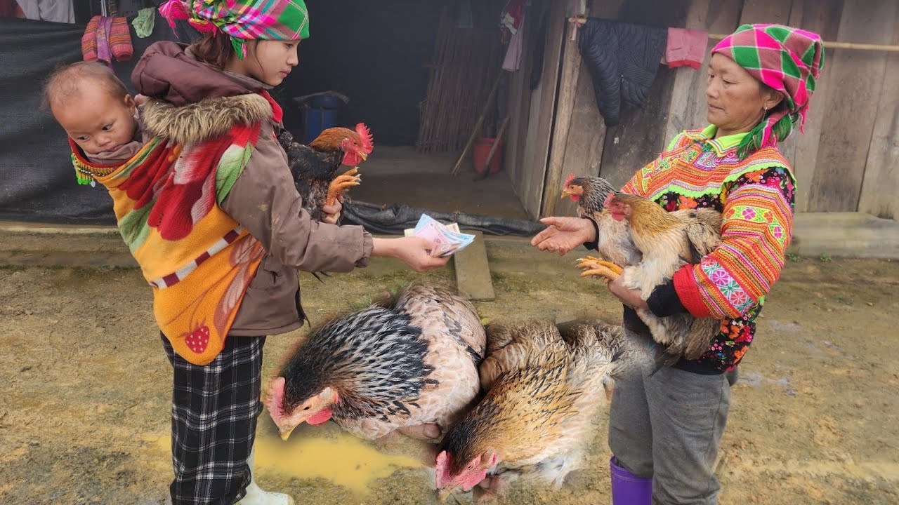 The mother and daughter went to buy chicken in the village to eat at the ancestral tomb during Tet.