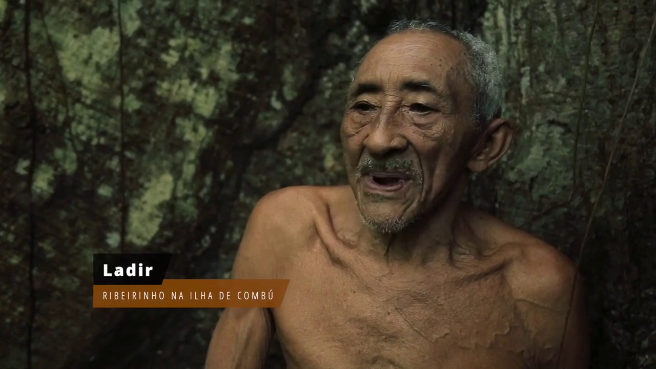 Refazendo a viagem de Spix e Martius pela Amazônia