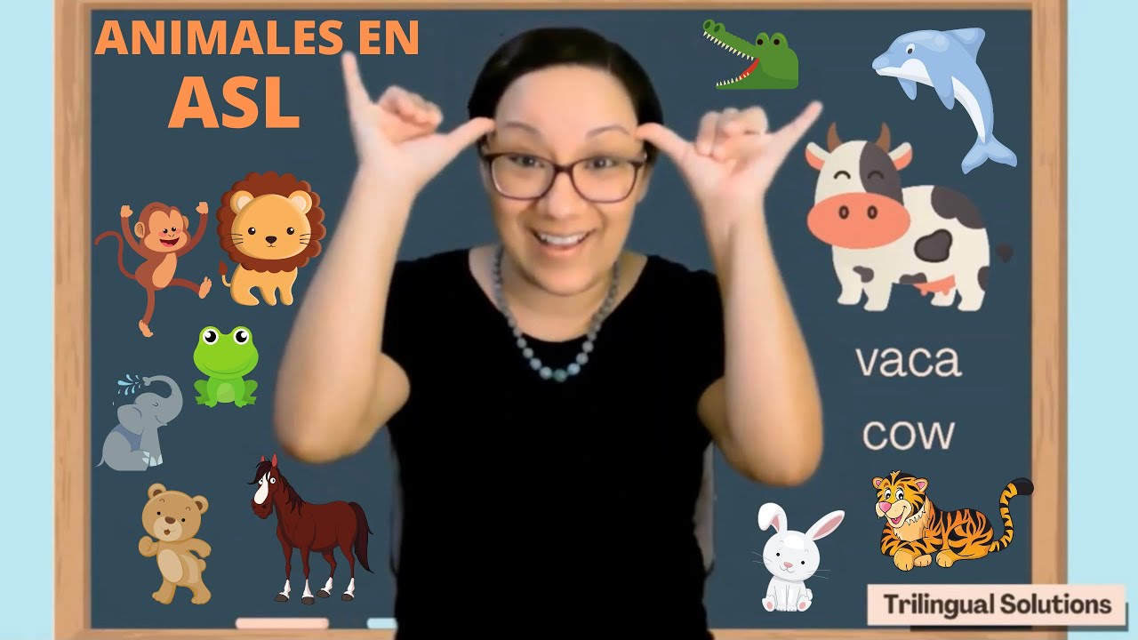 BASIC ASL - ANIMALS / LENGUAJE DE SEÑAS BÁSICO - LOS ANIMALES