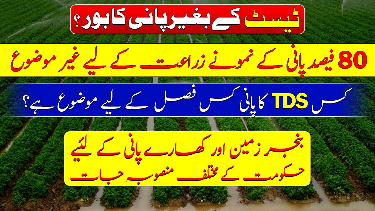 Without testing tubewell bore water is not fit for agriculture| Acceptable TDS for different crops