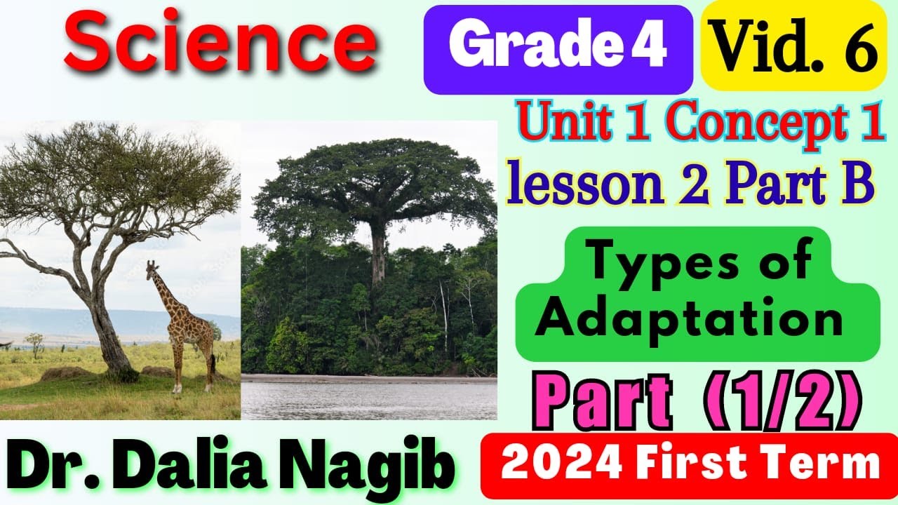 ساينس رابعه ابتدائي المنهج الجديد  Science Grade 4 Types Of Adaptation Concept 1 Lesson 2 (B) Part1