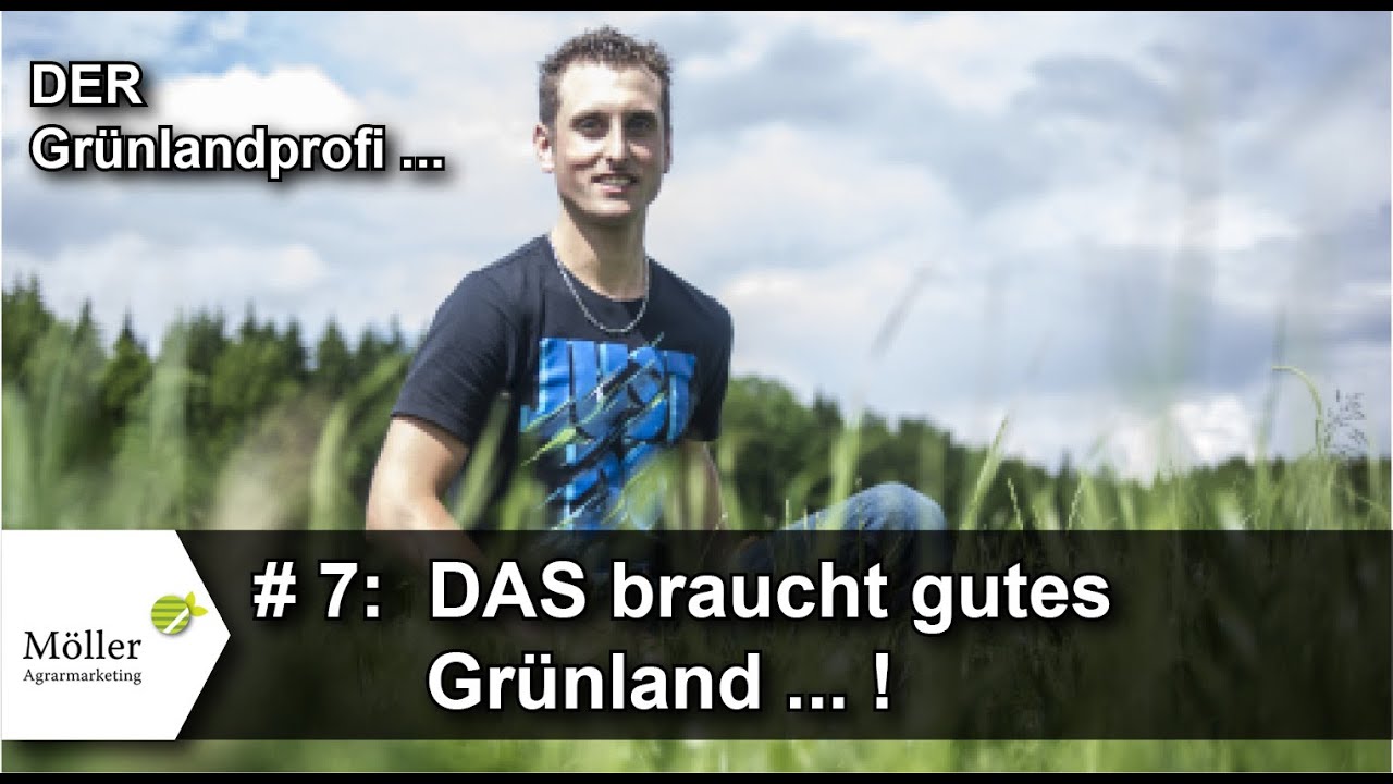 Grasernte 2021 #7 - Was braucht gutes Gr&uuml;nland? Teil 7 von 12