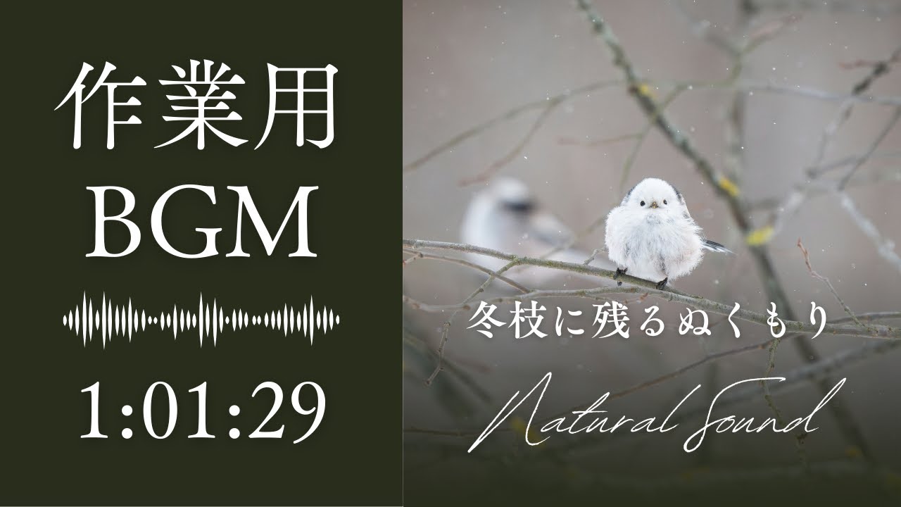 作業用・読書・リラックスBGM｜冬枝に残るぬくもり｜静かな雪と小鳥のアンビエントBGM