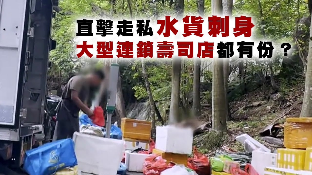 東張西望｜直擊走私水貨刺身 大型連鎖壽司店都有份？