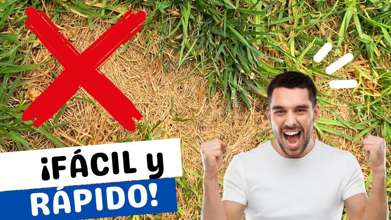 😉 ¡Consigue REPARAR las “manchas amarillas” 🟡 del Pasto ! (HAZ ESTO)