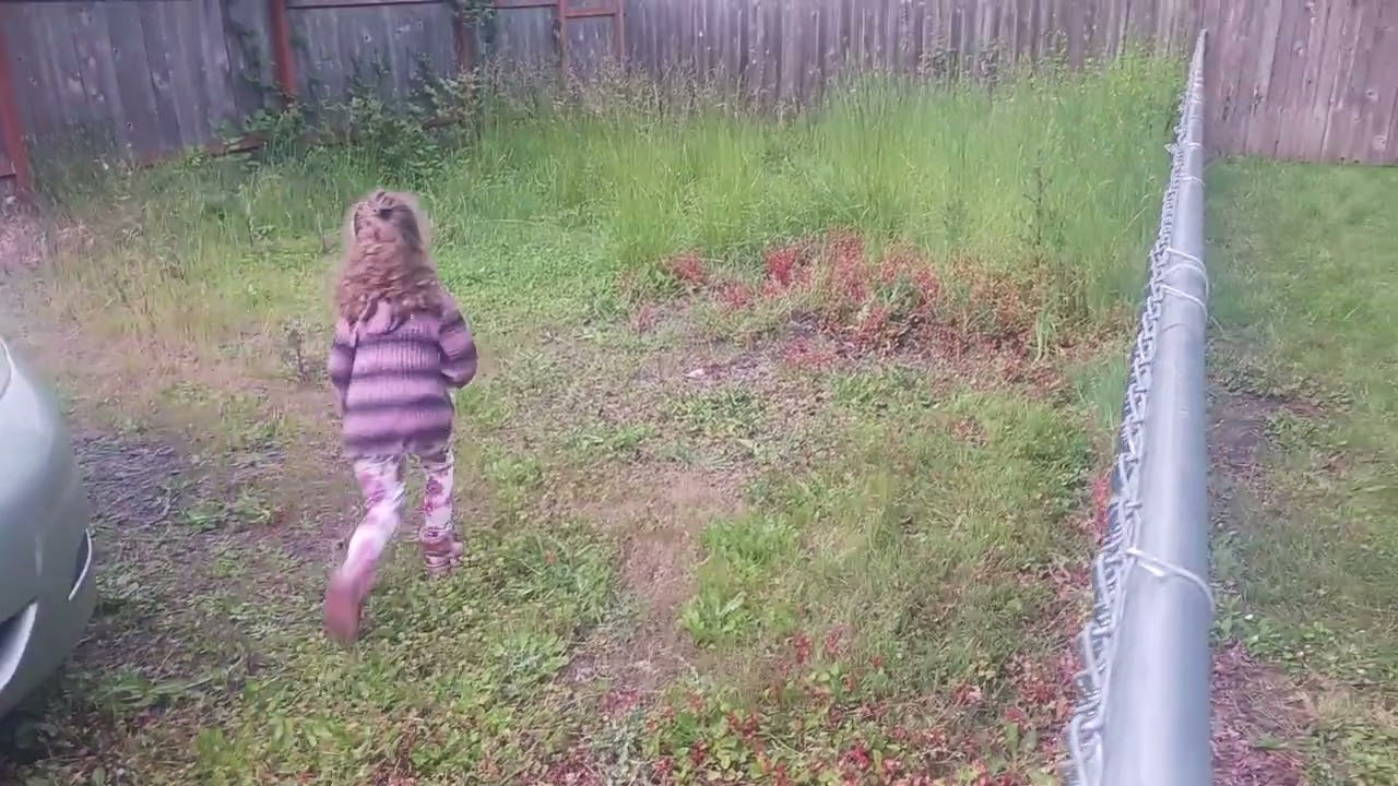 Kids birthday weekend new beachballs and tiger kitty (Mocha) jumping fence to roof like a wildcat