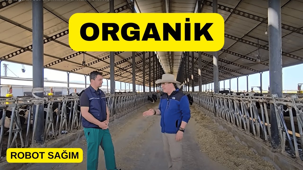 Sıcak Havada Organik Süt Üretimini Artırmanın Sırrı Ne?