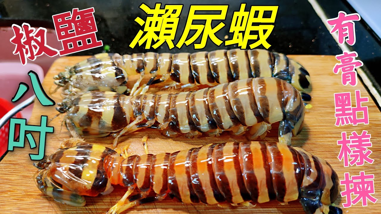 〈職人吹水〉 八吋斑馬 瀨尿蝦王 椒鹽瀨尿蝦 瀨尿蝦 有 有蝦膏  怎樣揀 原隻上賣相靚