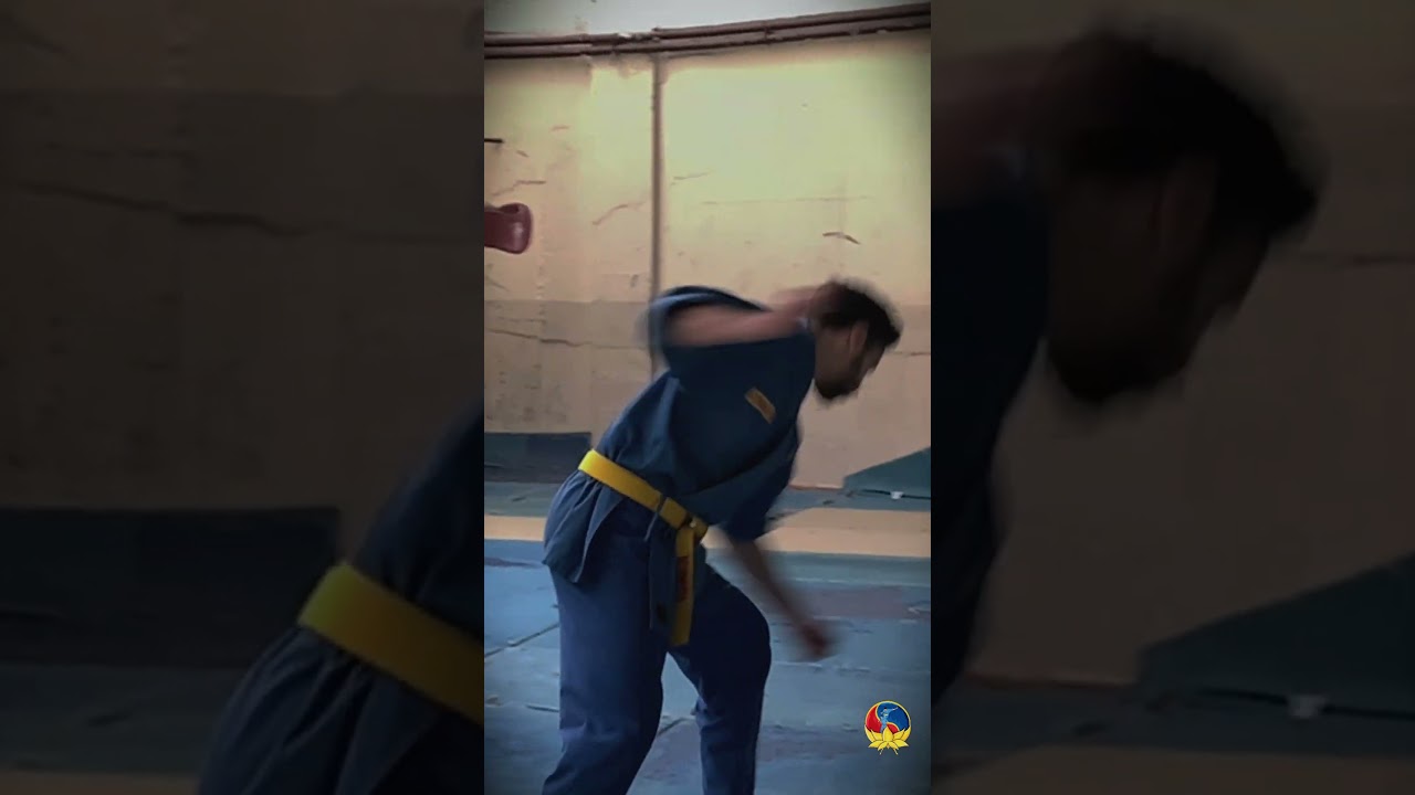 Vovinam Algeria: Uniting Culture and Combat #algeria #algerie #sports #newvideo #trend