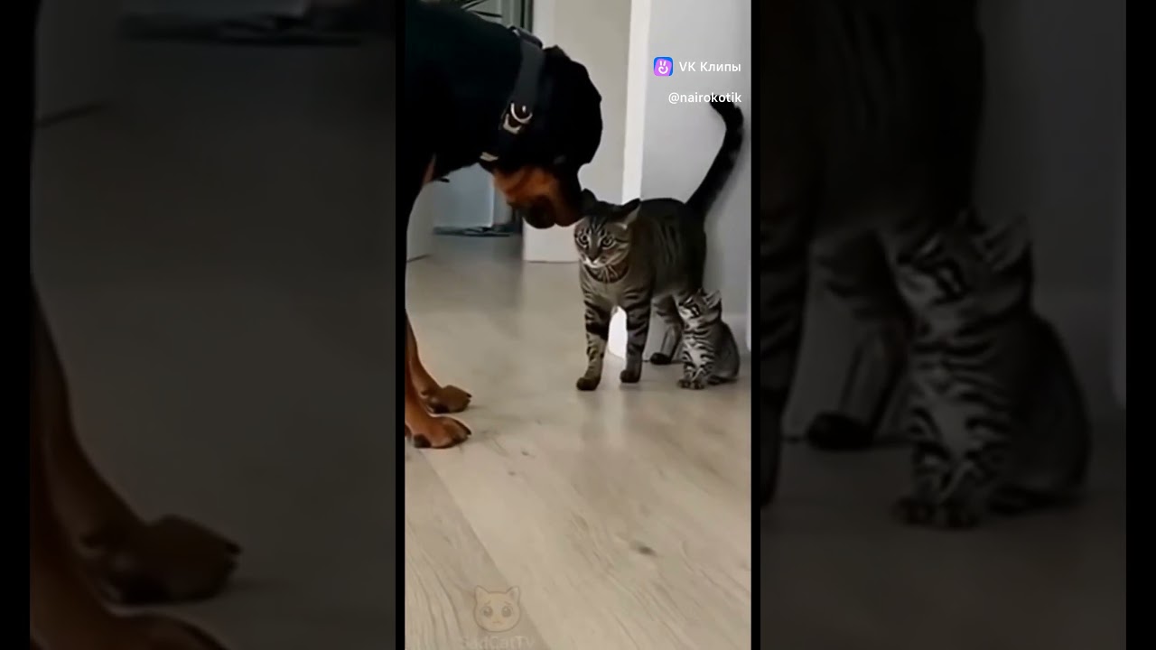 я тебе вот что скажу  