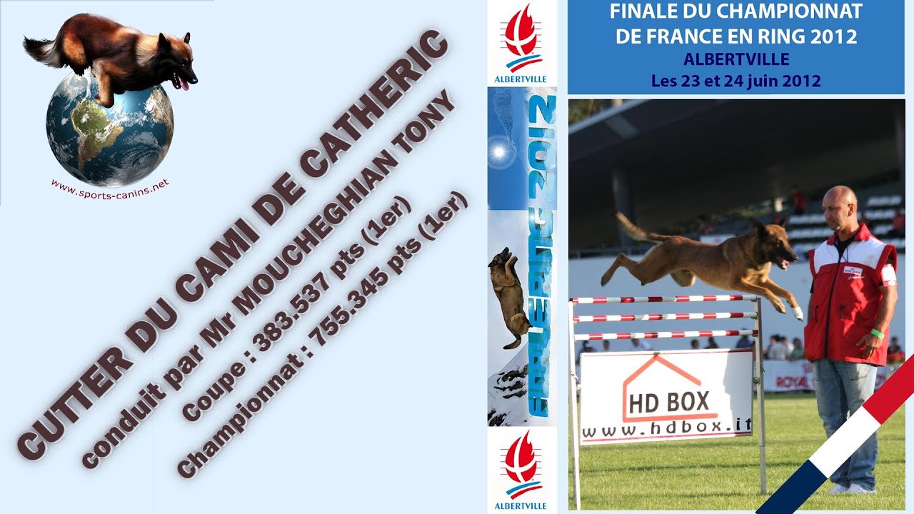 Finale Ring 2012 - CUTTER DU CAMI DE CATHERIC - MOUCHEGHIAN TONY