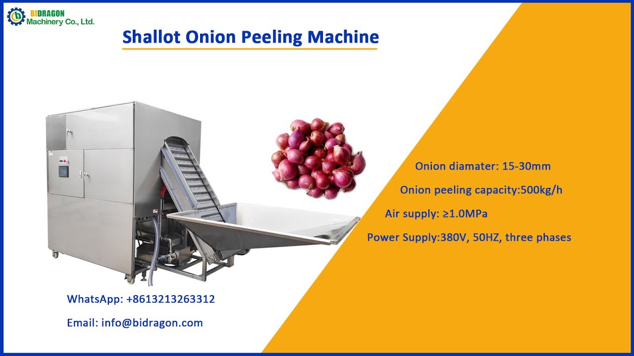 Automatic Shallot Onion Peeling Machine Small Onion Peeler Machine for India, Malaysia, Indonesia