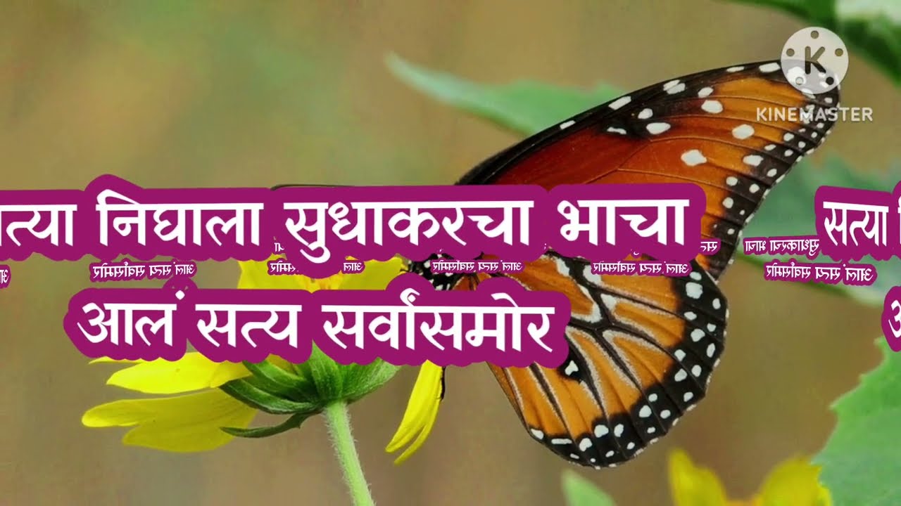 सत्या निघाला सुधाकरच्या बहिणीचा मुलगा|sadhi mansa today episode 