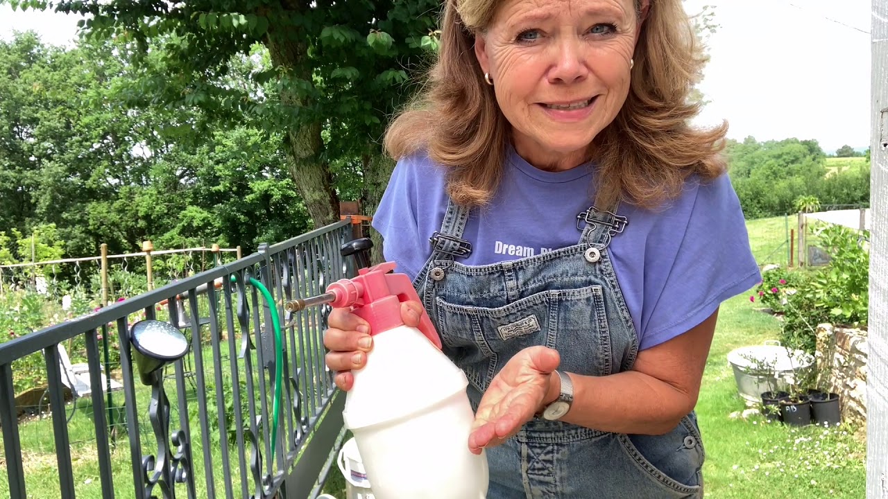 Ini's moestuin #15- ziekten & plagen te lijf  met brandnetels, lavameel en bloemen. Kruiden drogen.