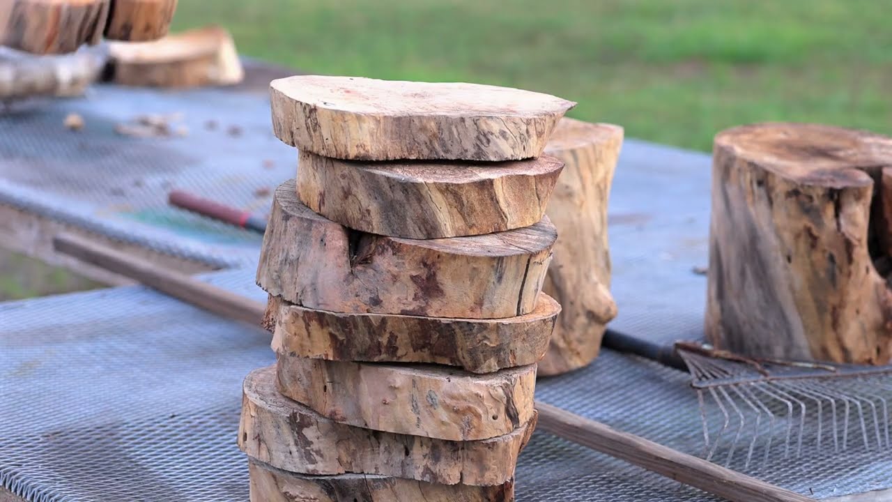December 3 2025 chainsaw rig cutting off pieces from smaller tree pieces
