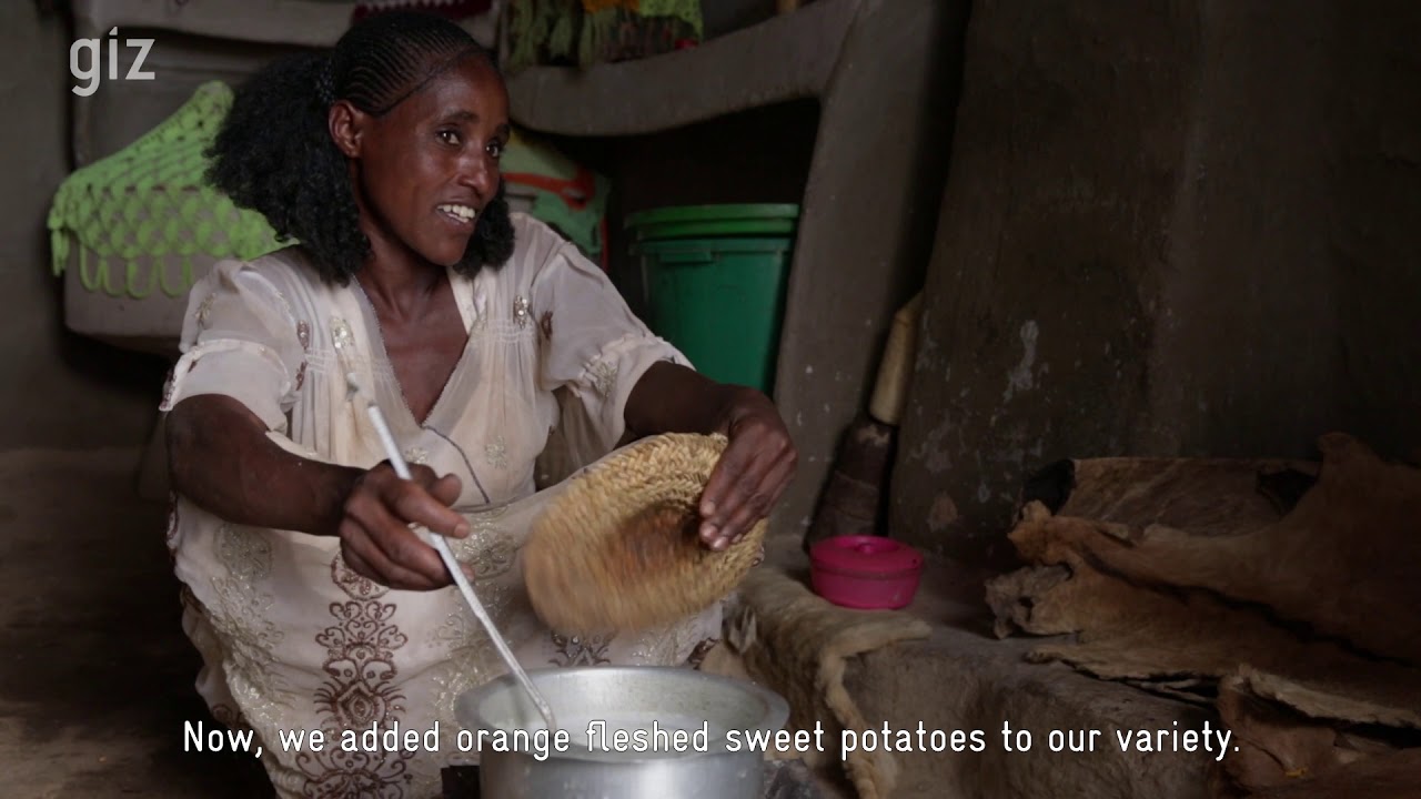 GIZ: Nutrient Dense Orange Fleshed Sweet Potatoes. Vitamin A source in Northern Ethiopia. 2019