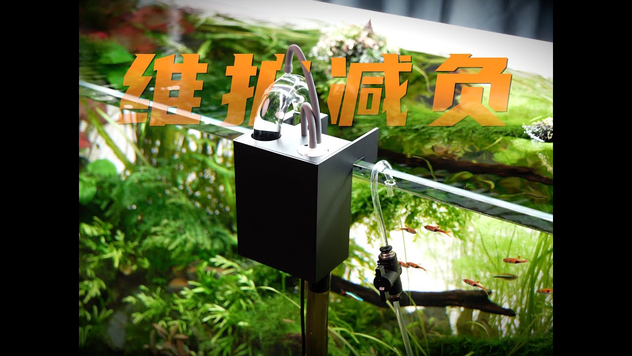 “降低鱼缸造景维护”你可能需要这个设备.AUTO水族溢流自动换水器