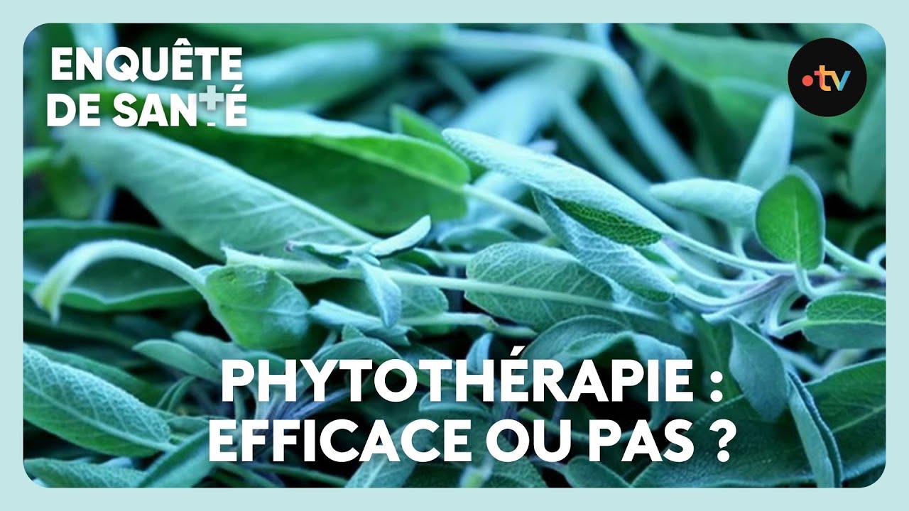 Peut-on faire confiance aux plantes médicinales pour se soigner ?