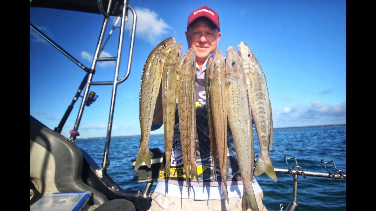 Targeting Western Port Channel Whiting