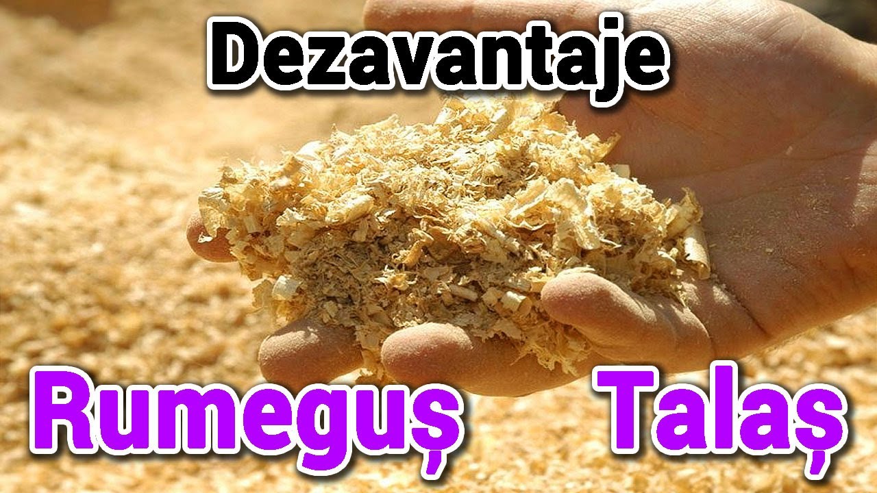 Dezavantajele rumegusului si talașului ca termoizolatie - минусы опилки и стружки