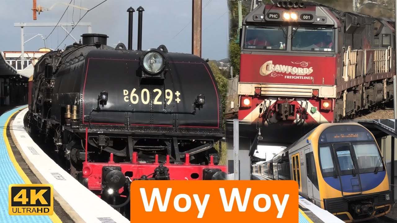 Trains at Woy Woy; Passenger, Steam & Freight Trains - NSW Transport [4K]