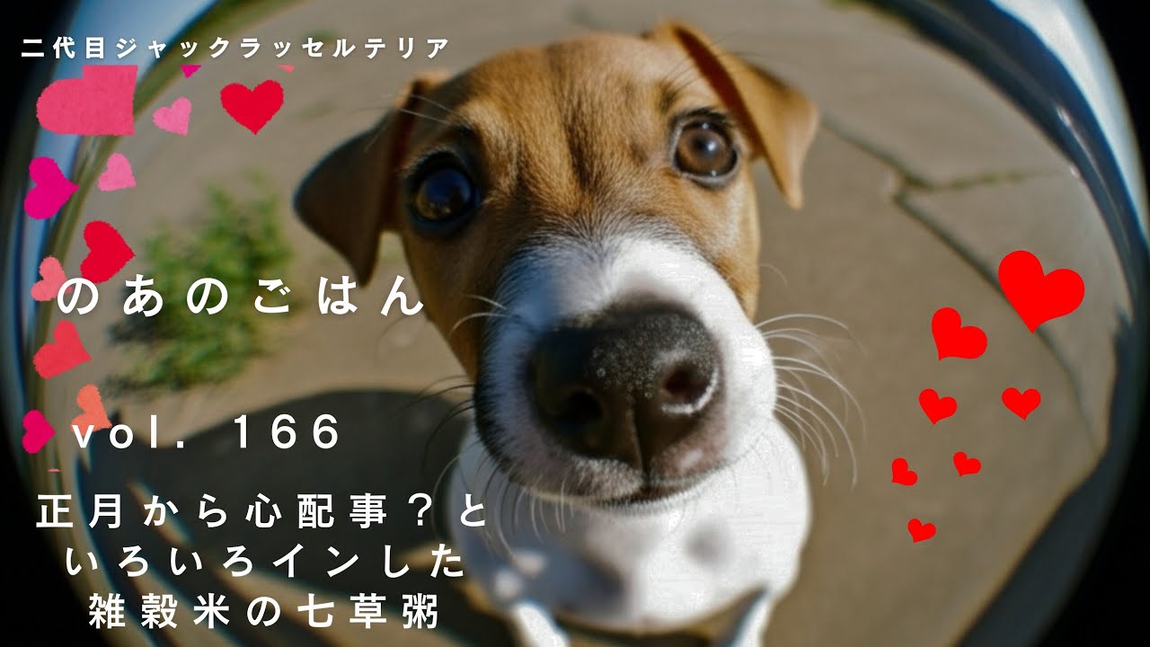 vol. 166 正月から心配事？といろいろインした雑穀米の七草粥