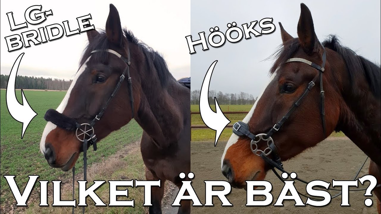 Hööks VS LG Bridle - bettlösa träns