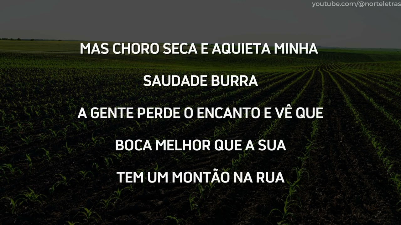 Saudade Burra [LETRA] - Lauana Prado e Simone Mendes
