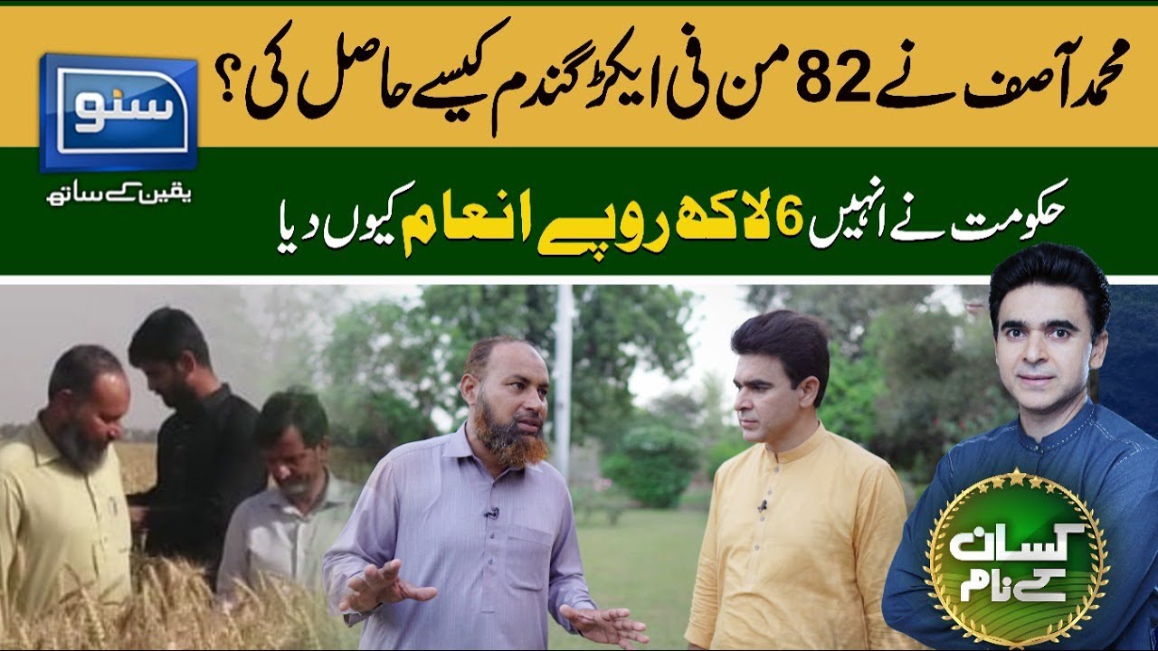 How Kisan M Asif Produced 82 mund Per Acre Wheat? | Kisan Kay Naam | SUNO TV