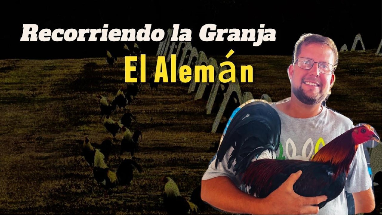 Así trabaja El Alemán | Recorrido por sus instalaciones