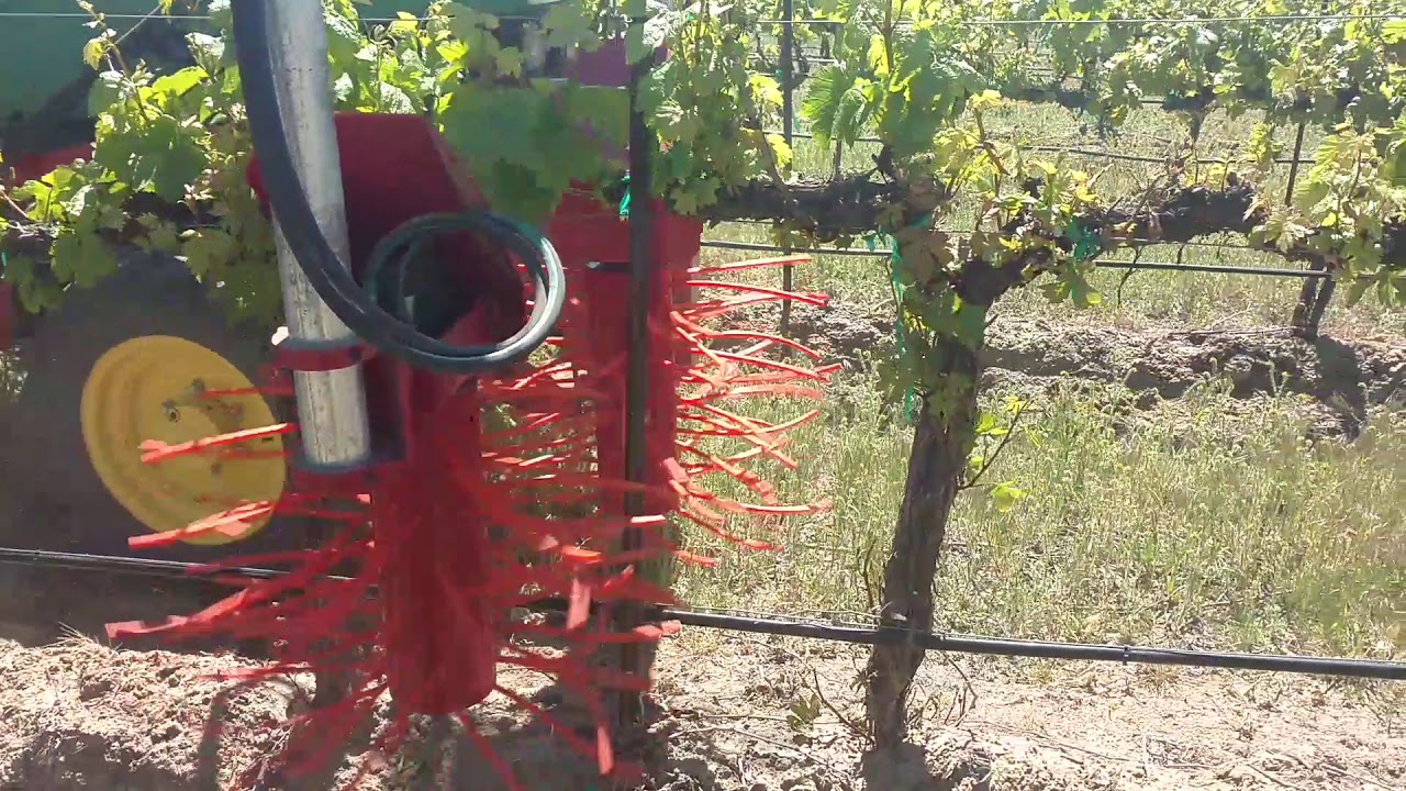 Vine Tech Sucker Remover/Cordon Scrubber