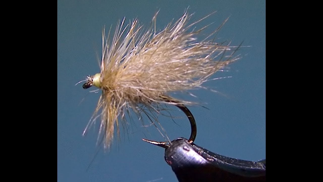 SnowShoe Caddis with Sheldon Seale