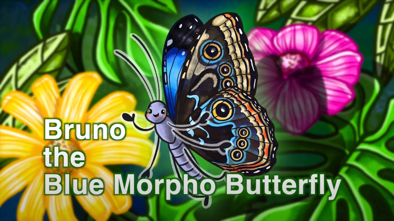 Storytime with Bruno the Blue Morpho Butterfly