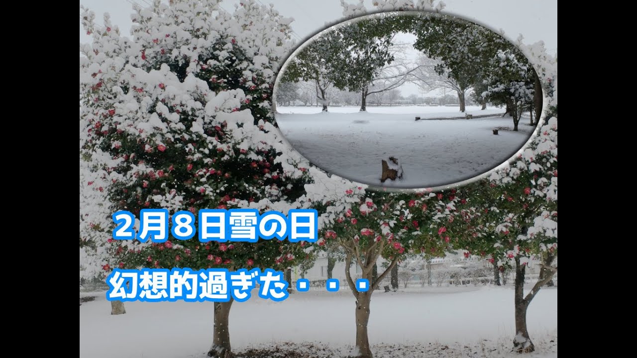【4K】雪の日の公園散歩動画。
