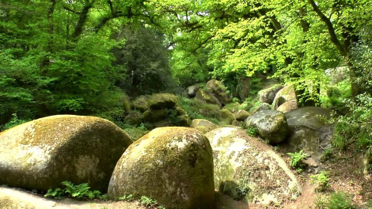 Huelgoat : La forêt des murmures